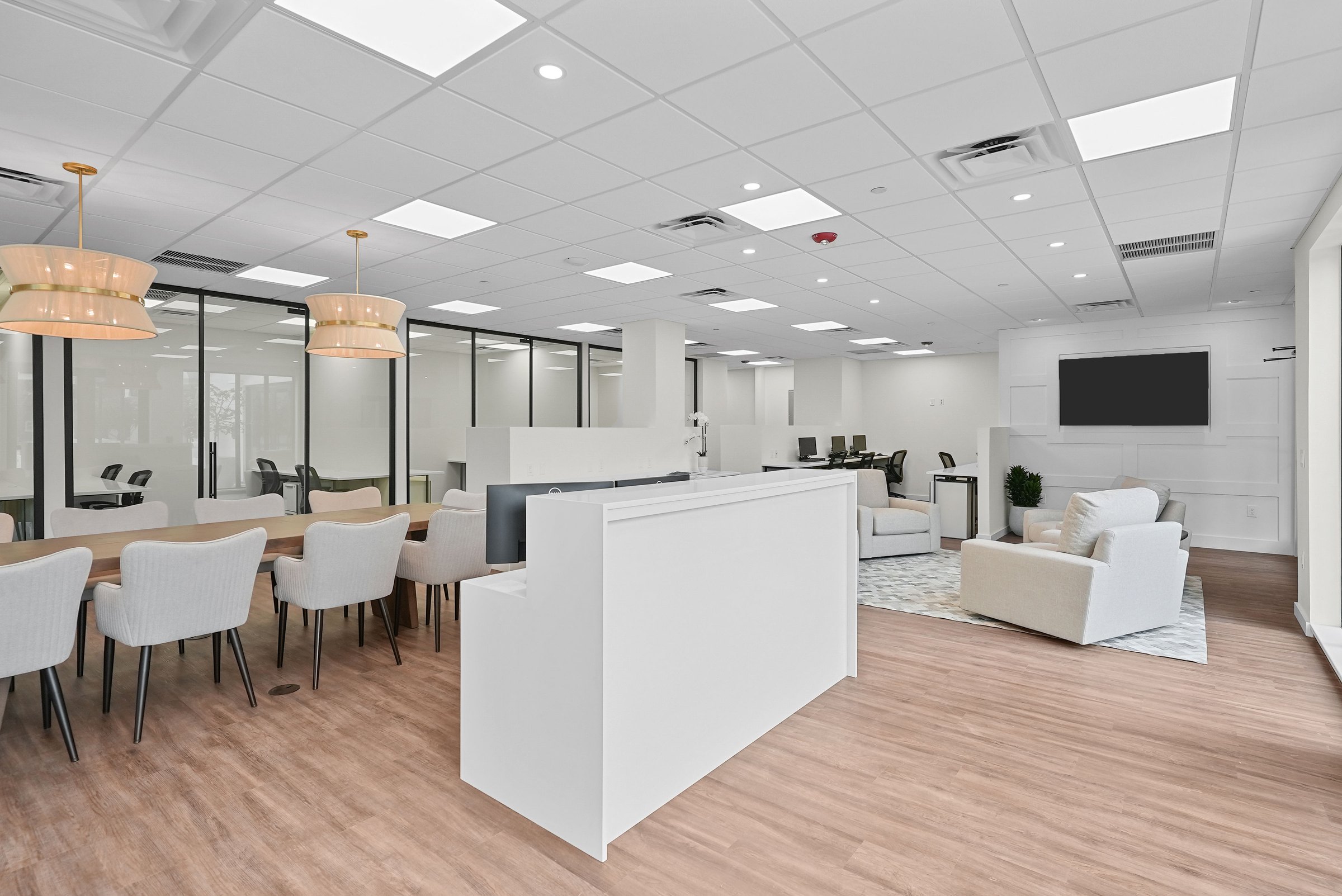 Illustrated Properties | Palm Beach Office project view 20