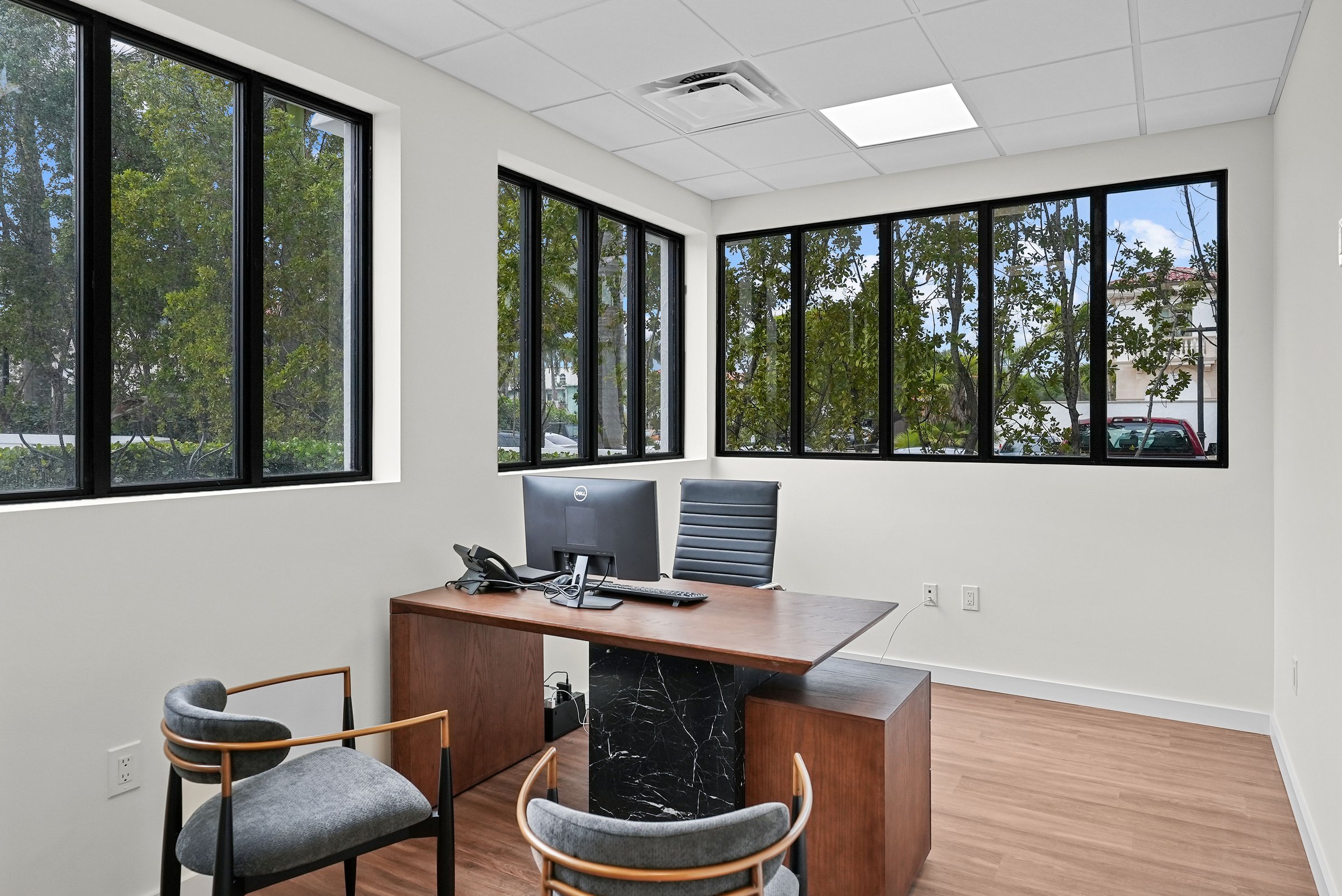 Illustrated Properties | Palm Beach Office project view 18