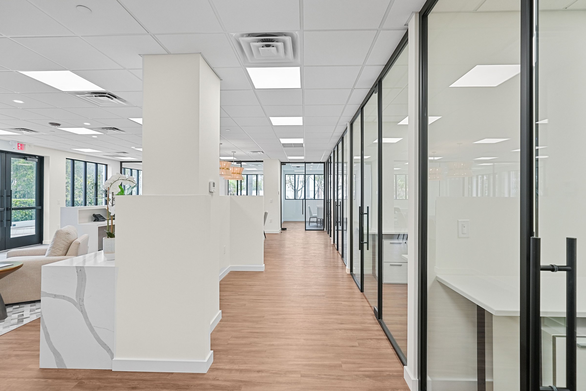 Illustrated Properties | Palm Beach Office project view 22
