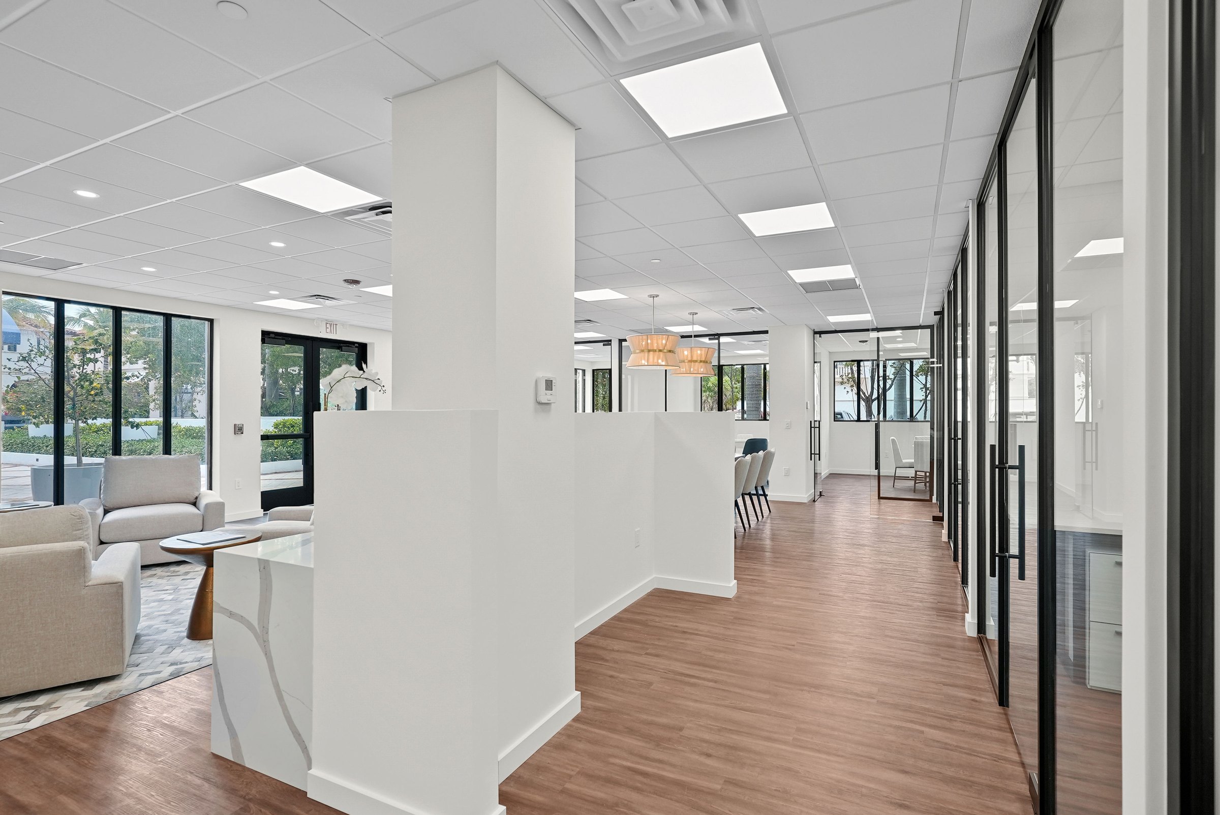 Illustrated Properties | Palm Beach Office project view 9