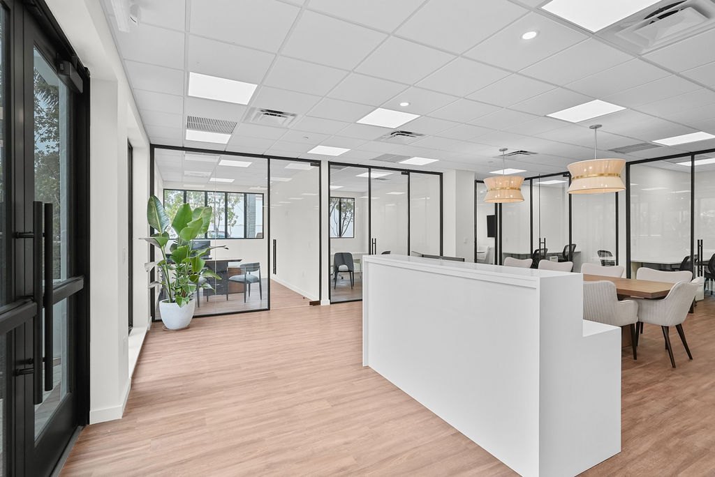 Illustrated Properties | Palm Beach Office project view 12
