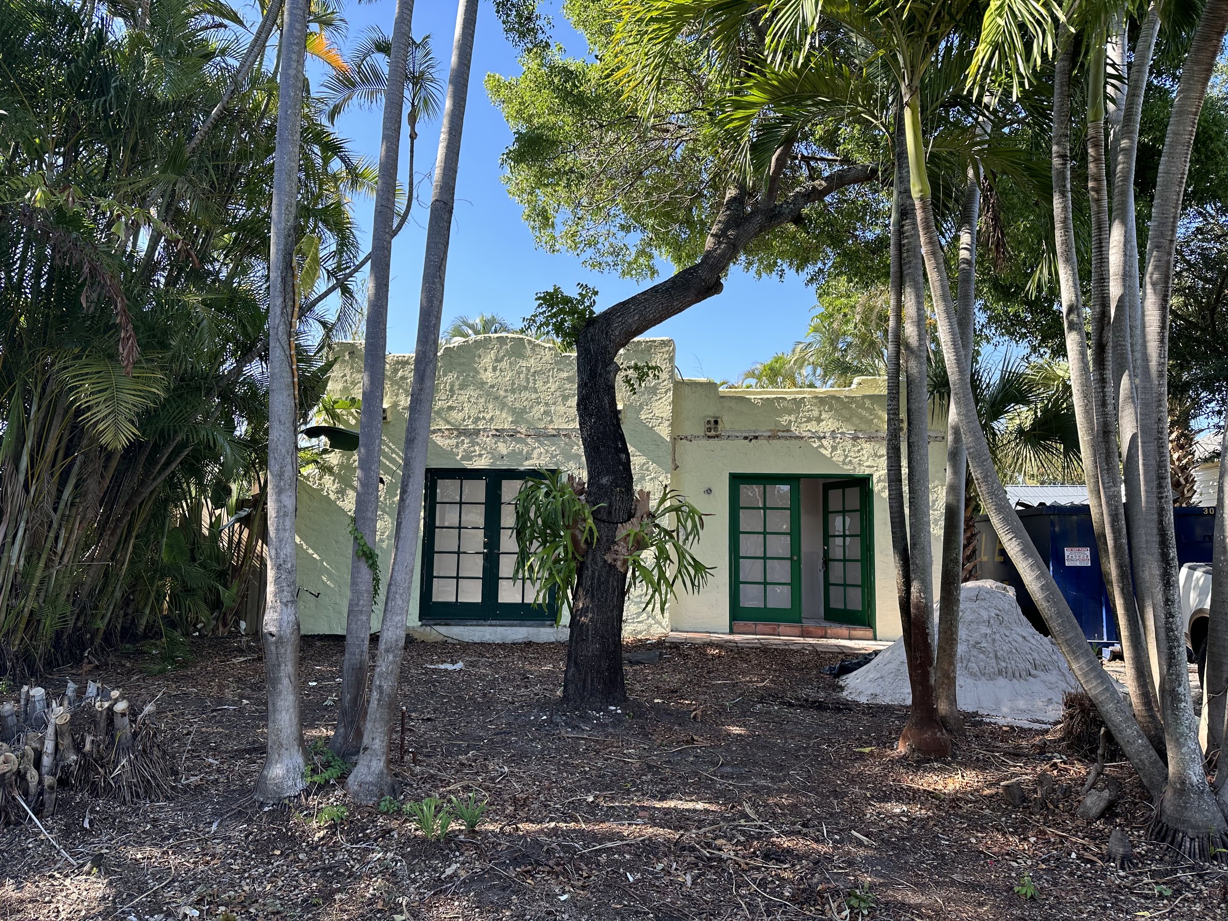 Historic Ardmore Residence project view 9