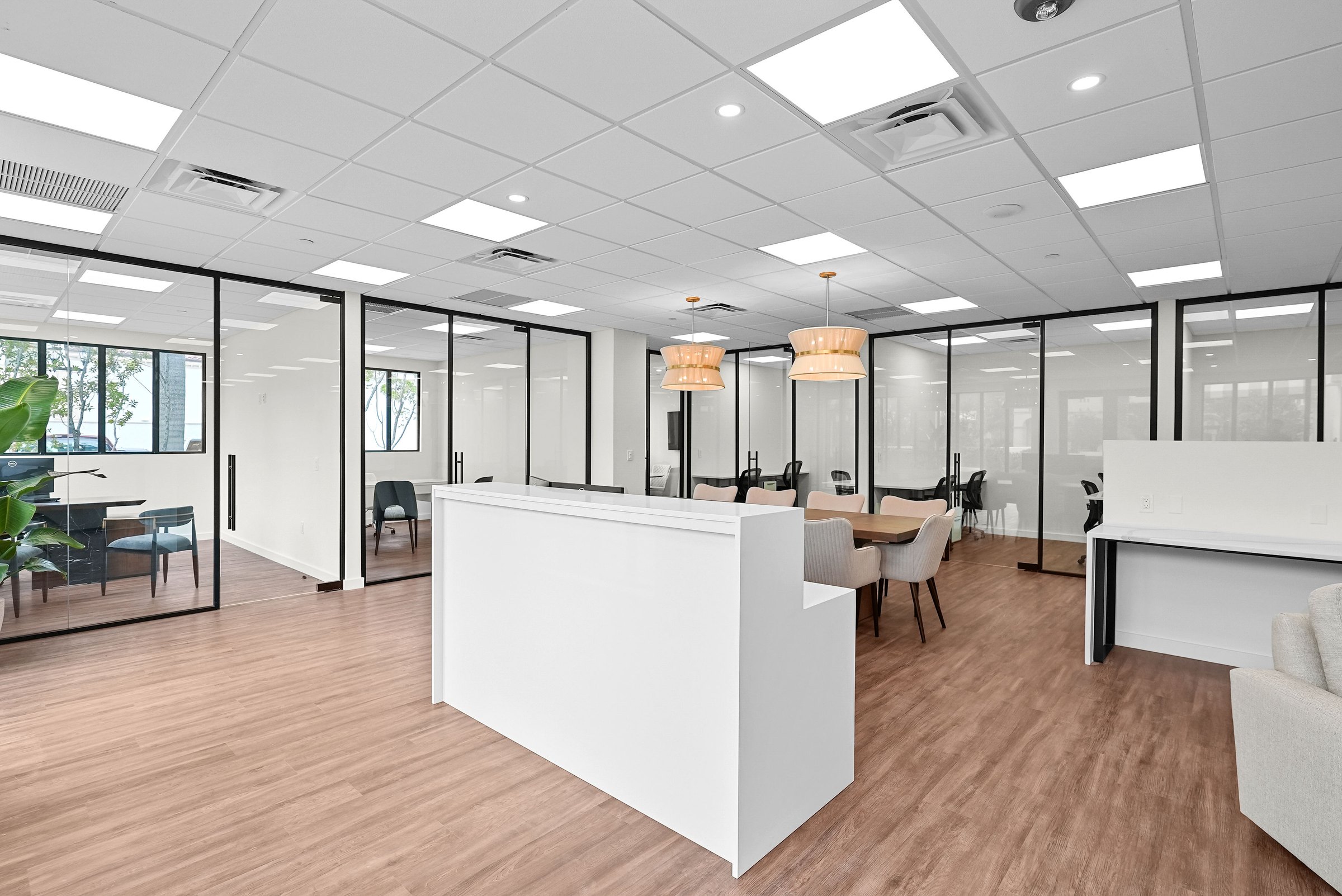 Illustrated Properties | Palm Beach Office project view 13