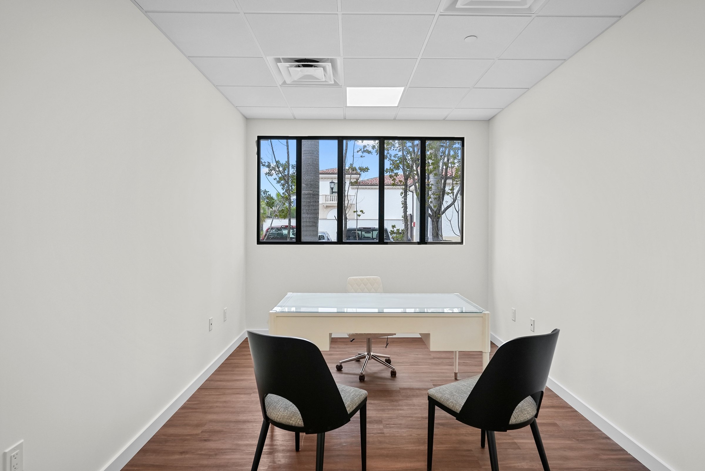 Illustrated Properties | Palm Beach Office project view 17
