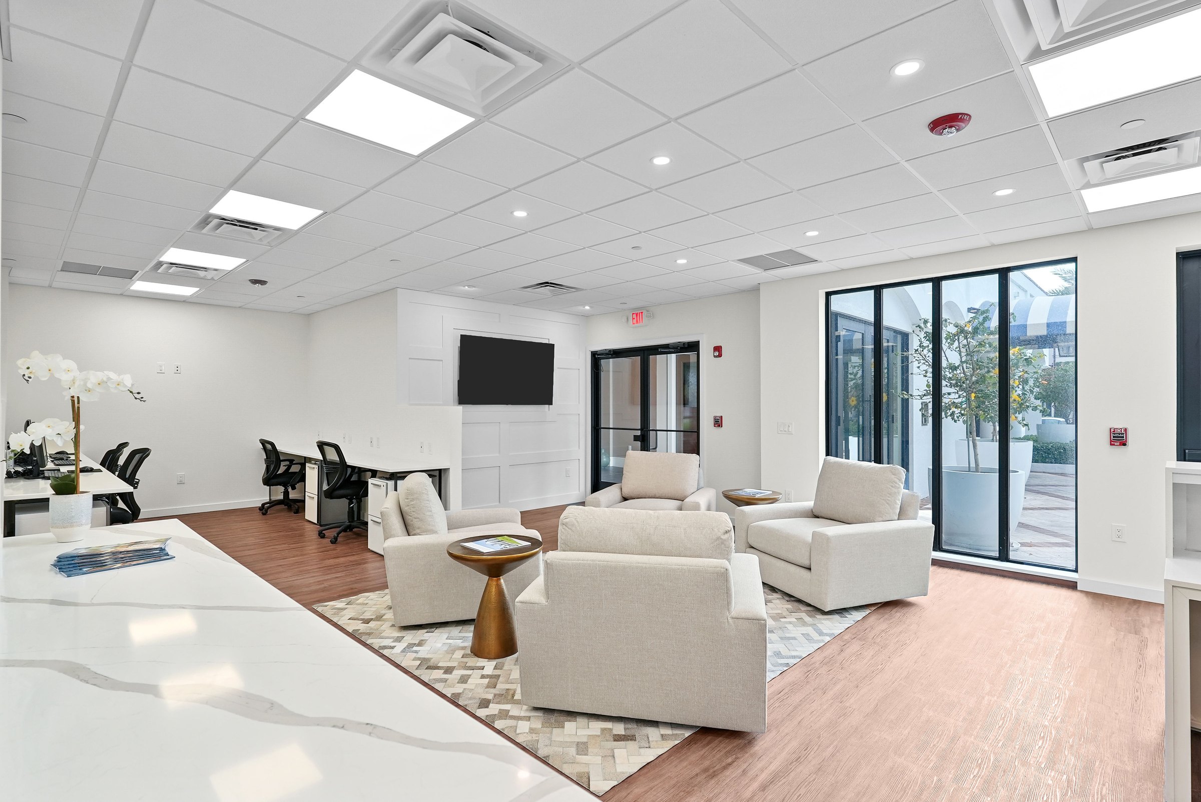 Illustrated Properties | Palm Beach Office project view 11